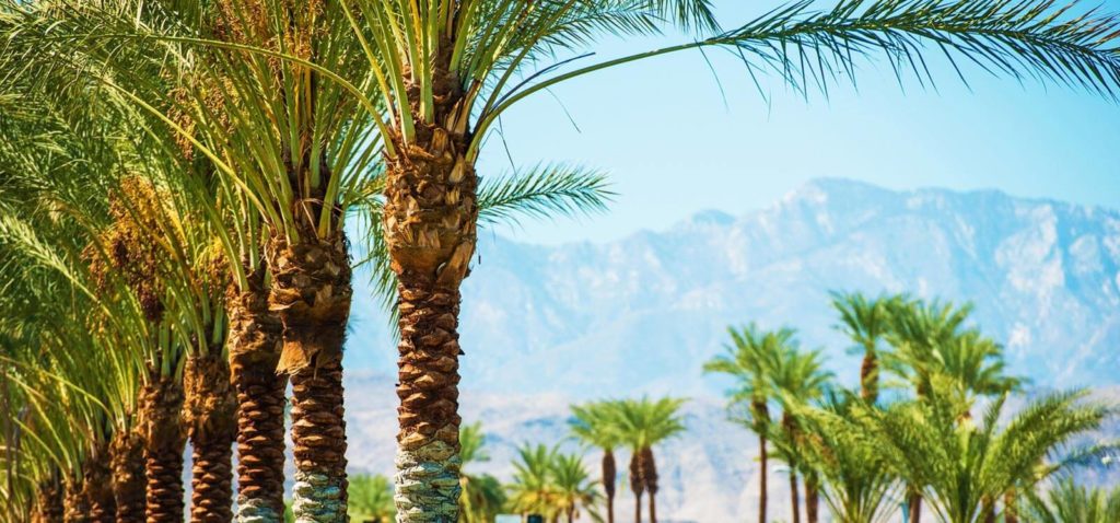Palm Springs Event Transportation