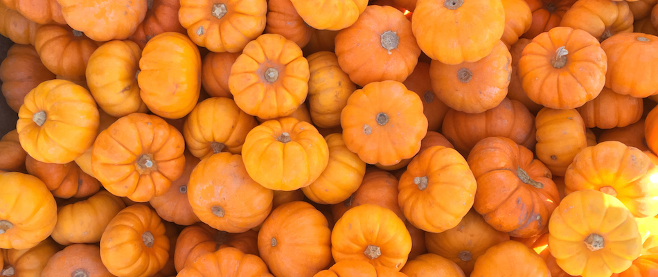 Pumpkin Patches in Los Angeles