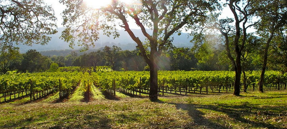 Unwind at the Santa Barbara Vintners Spring Weekend